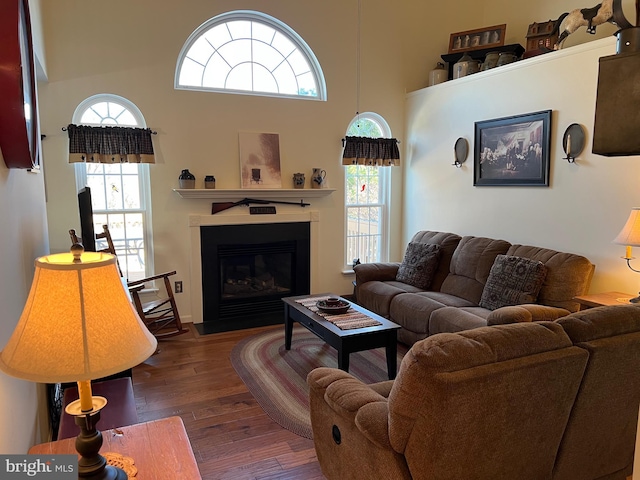 living room featuring a high ceiling, a wealth of natural light, and dark hardwood / wood-style floors