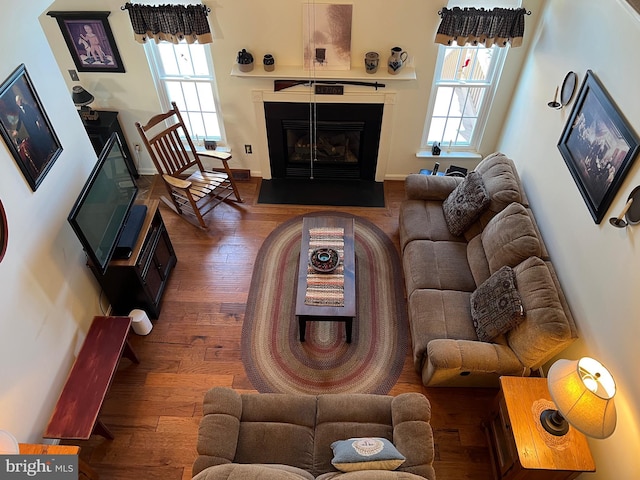 living room with dark hardwood / wood-style flooring and plenty of natural light