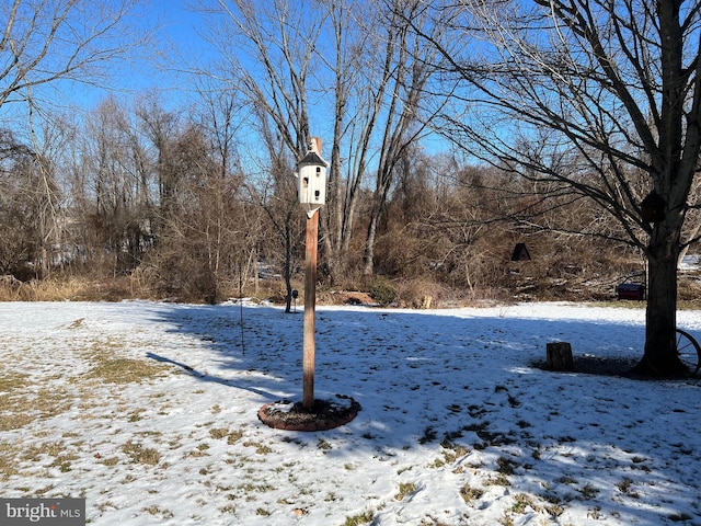 view of snowy yard