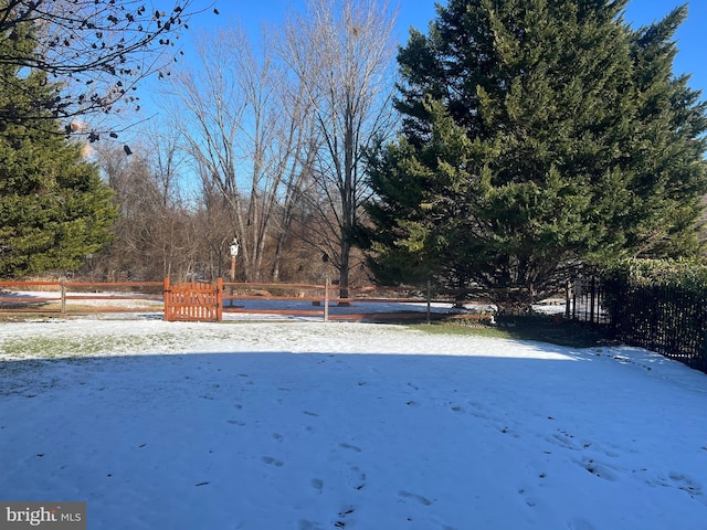 view of yard layered in snow