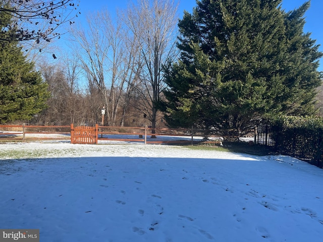 view of yard layered in snow