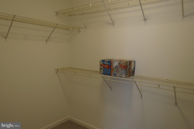 view of walk in closet