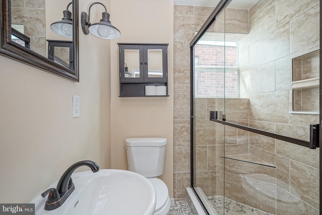 bathroom featuring sink, a shower with door, and toilet