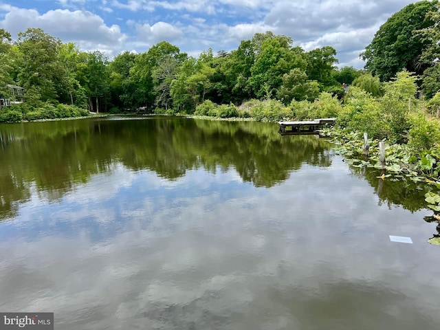 property view of water