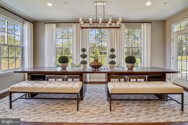 dining area with hardwood / wood-style floors