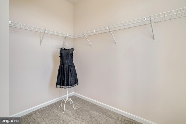 walk in closet featuring carpet