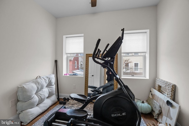 workout room featuring a wealth of natural light and ceiling fan