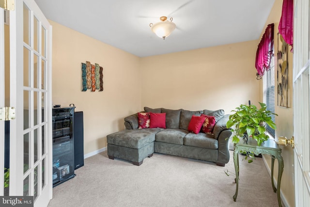 living room featuring carpet flooring