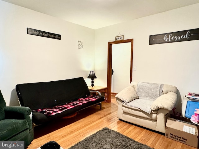 living room with hardwood / wood-style flooring