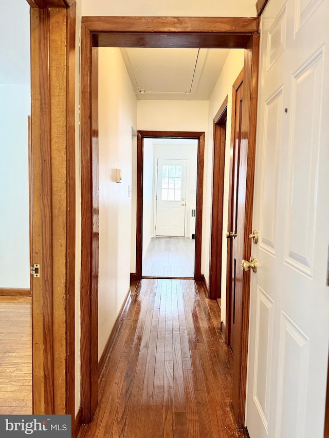 hallway featuring wood-type flooring and radiator heating unit