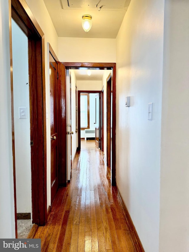 hallway featuring dark hardwood / wood-style floors and radiator heating unit