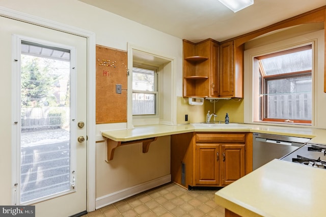 kitchen featuring sink and stainless steel dishwasher