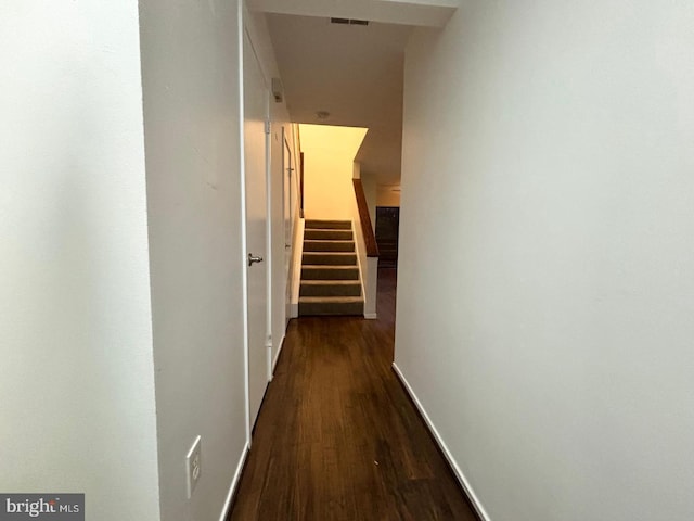 corridor with dark hardwood / wood-style floors