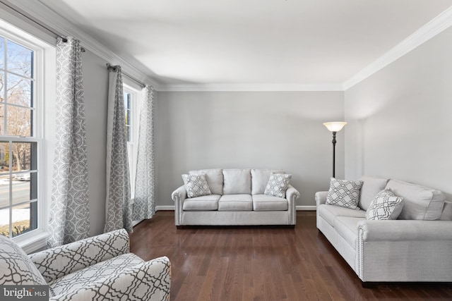 living room featuring a healthy amount of sunlight, dark wood-type flooring, and ornamental molding