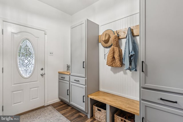 mudroom featuring dark hardwood / wood-style flooring