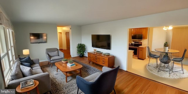 living room featuring wood-type flooring