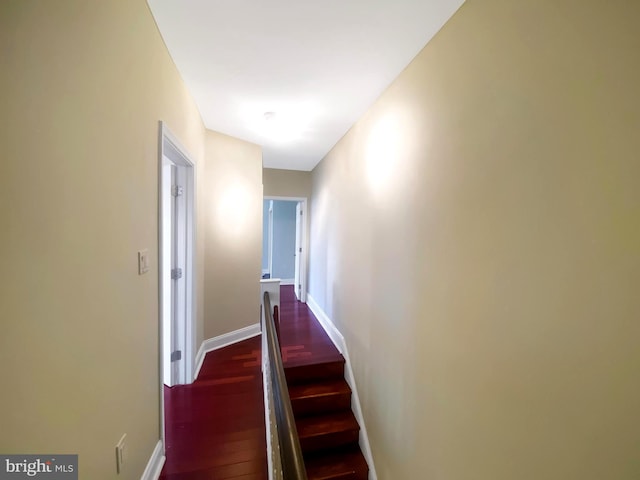 stairway with wood-type flooring