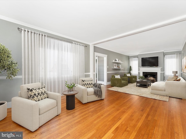 living room with light hardwood / wood-style floors and ornamental molding