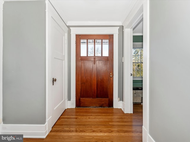 entrance foyer with ornamental molding and hardwood / wood-style floors