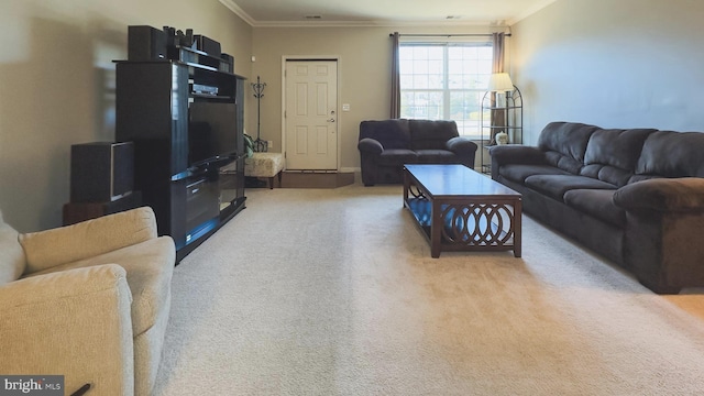 carpeted living room featuring ornamental molding