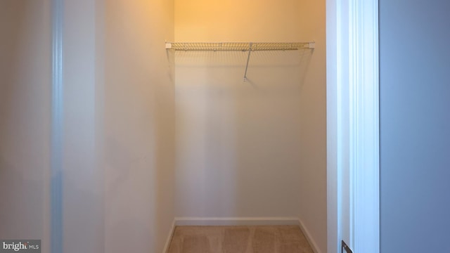 spacious closet with light carpet