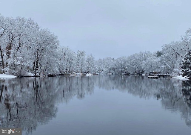 property view of water