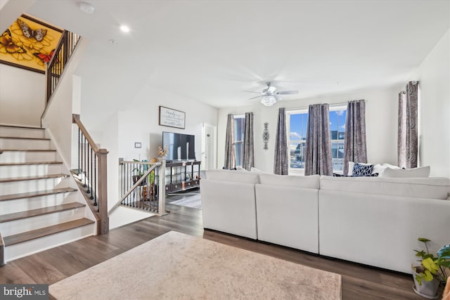 living room featuring ceiling fan and dark hardwood / wood-style floors