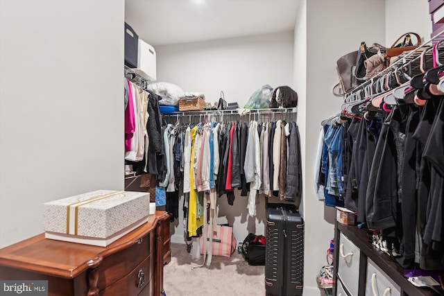 walk in closet featuring light carpet