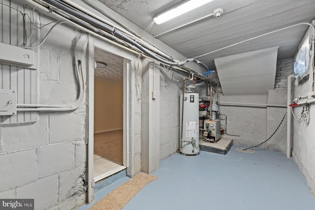 basement featuring gas water heater