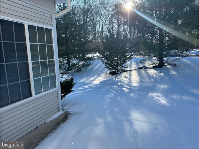 view of yard covered in snow