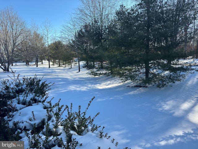 view of snowy yard