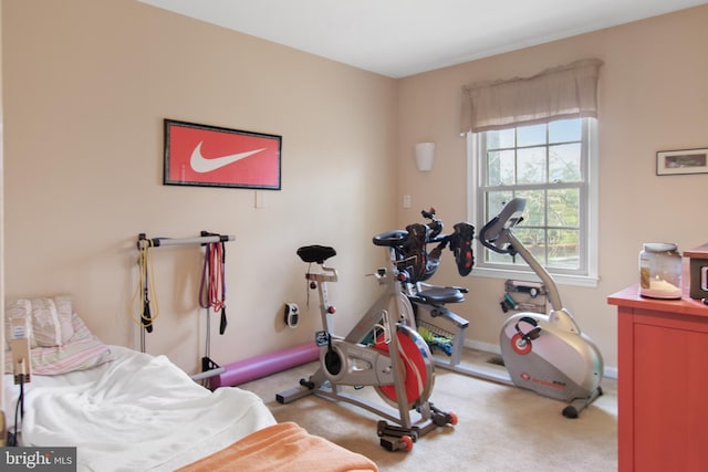 workout area with carpet