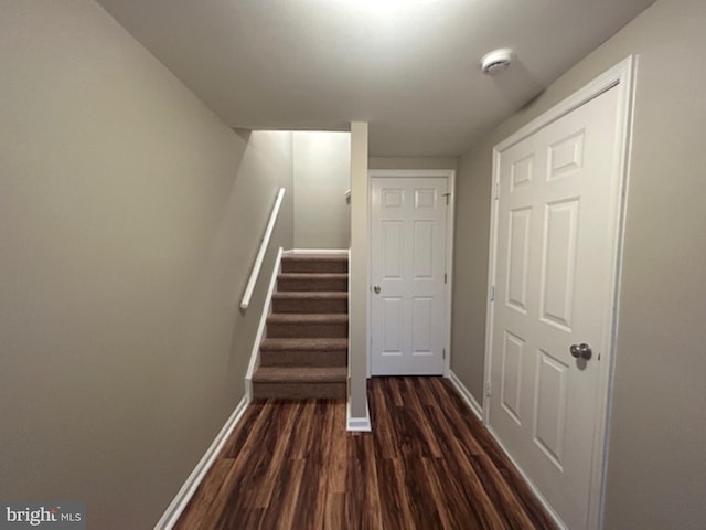 staircase with hardwood / wood-style flooring