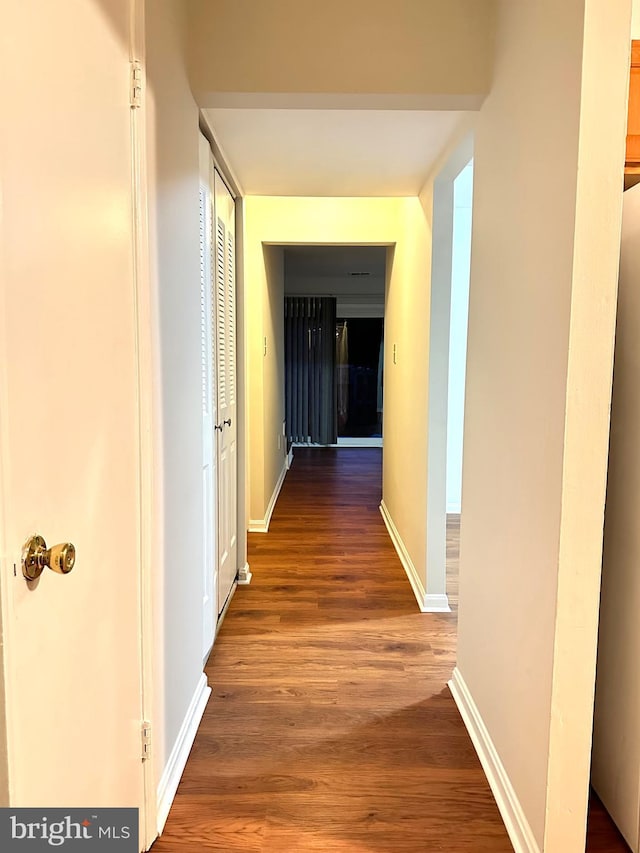 hallway featuring wood-type flooring