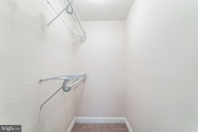 spacious closet with carpet floors