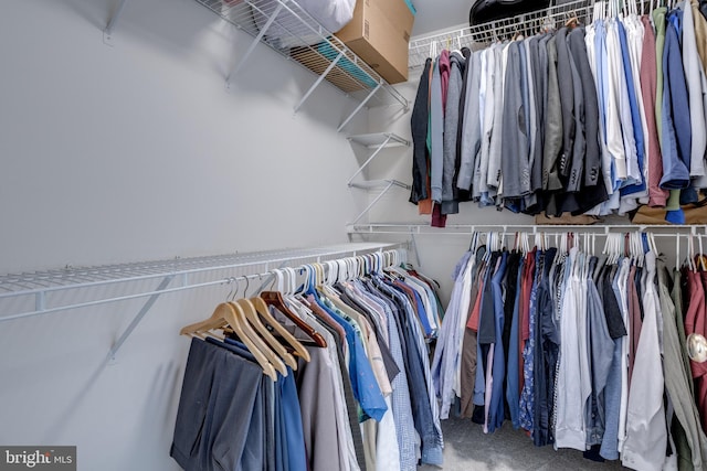 walk in closet with carpet