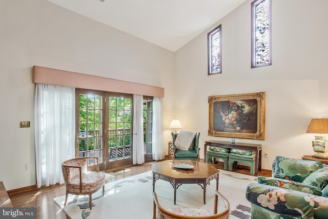 living room featuring hardwood / wood-style flooring