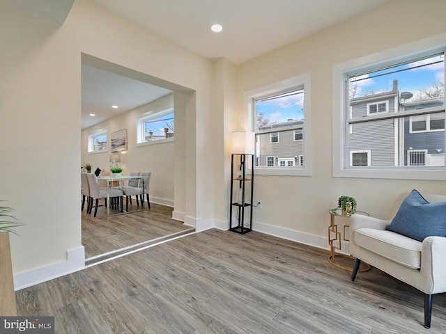 sitting room featuring hardwood / wood-style floors