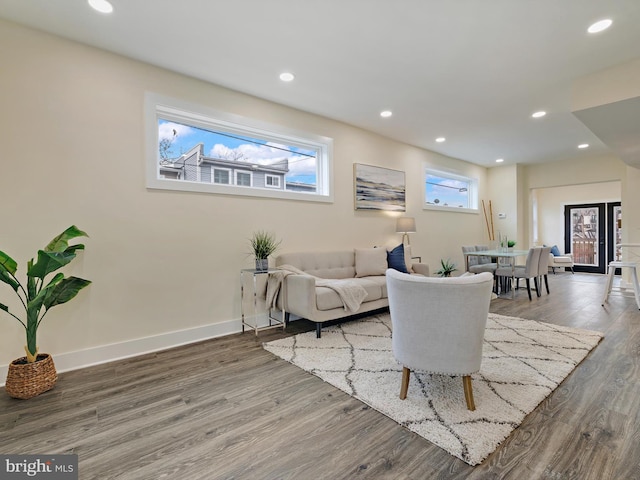 living room featuring wood-type flooring