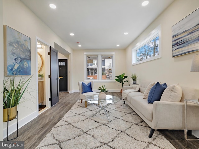 living room with dark wood-type flooring