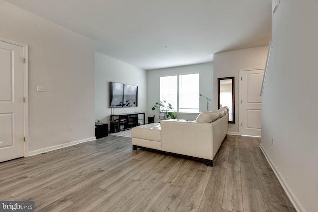 living room featuring light hardwood / wood-style floors