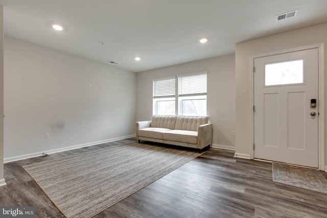 foyer entrance featuring dark wood-type flooring and plenty of natural light