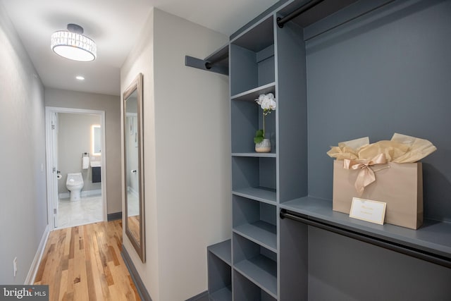 walk in closet with light hardwood / wood-style floors