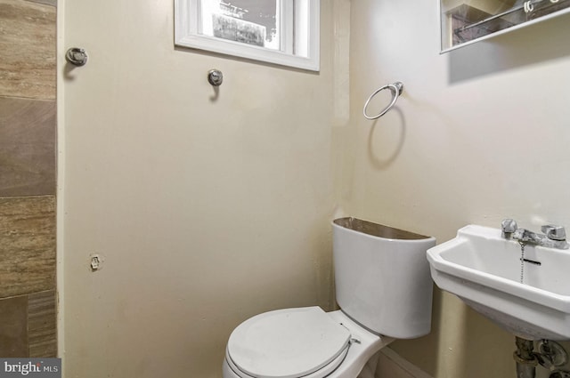 bathroom featuring sink and toilet