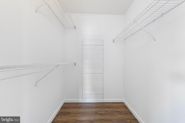 walk in closet with dark hardwood / wood-style floors