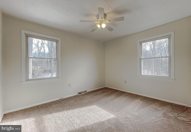 spare room featuring ceiling fan, carpet, a textured ceiling, and a healthy amount of sunlight