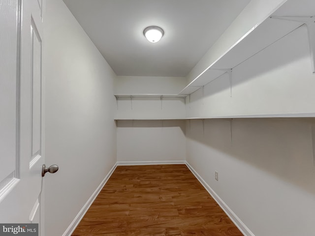 spacious closet featuring hardwood / wood-style flooring