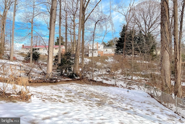 view of yard covered in snow