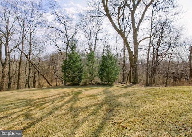 view of yard featuring a wooded view