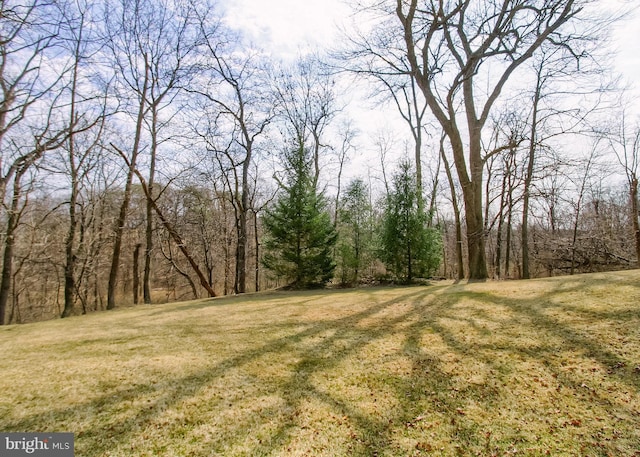 view of yard with a view of trees